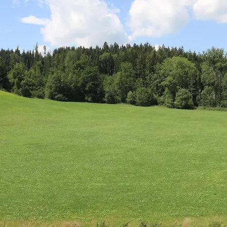 Baumkrone Im Happy Allgaeu - 2-stoeckige Mit Wohnnetz